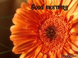 Good morning