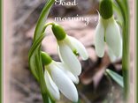 Good morning