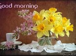 Good morning