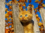 Good morning
