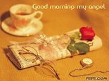 Good morning my angel