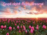 Good night! Magic dreams!