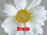 Grazie