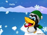 Hallo