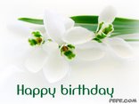 Happy birthday