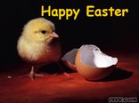 Happy Easter