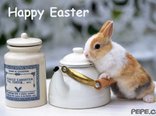 Happy Easter