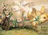Happy Easter