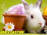 Happy Easter!