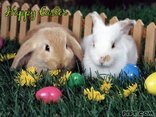 Happy Easter