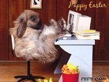 Happy Easter