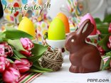 Happy Easter !!!