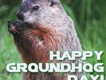 Happy Groundhog Day! 