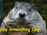 Happy Groundhog Day