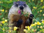 Happy Groundhog Day!
