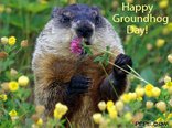 Happy Groundhog Day!