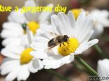 Have a gorgerous day