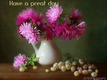 Have a great day