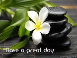 Have a great day