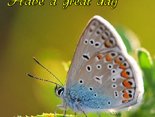 Have a great day