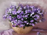 Have a great morning