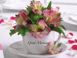 Have a great morning