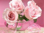 Have a nice afternoon