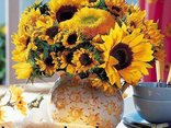 have a nice day