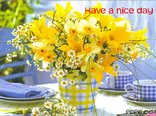Have a nice day