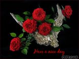 Have a nice day