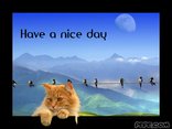 Have a nice day