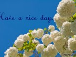 Have a nice day..