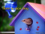 Have a nice day
