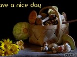 Have a nice day