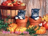 Have a nice day