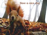 Have a nice day