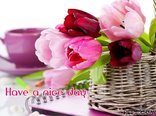 Have a nice day