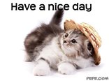 Have a nice day