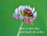 Have a nice day and loads of smiles