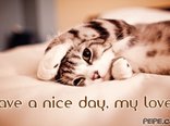 Have a nice day, my love