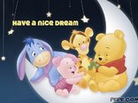 Have a nice dream