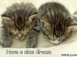 Have a nice dream