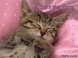 Have a nice dream