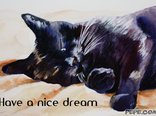Have a nice dream