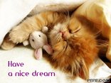 Have a nice dream