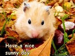 Have a nice, sunny day