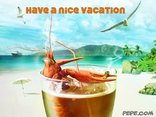 Have a nice vacation