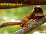 Have a sunny day!