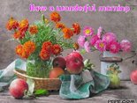 Have a wonderful morning