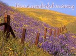 Have a wonderful morning